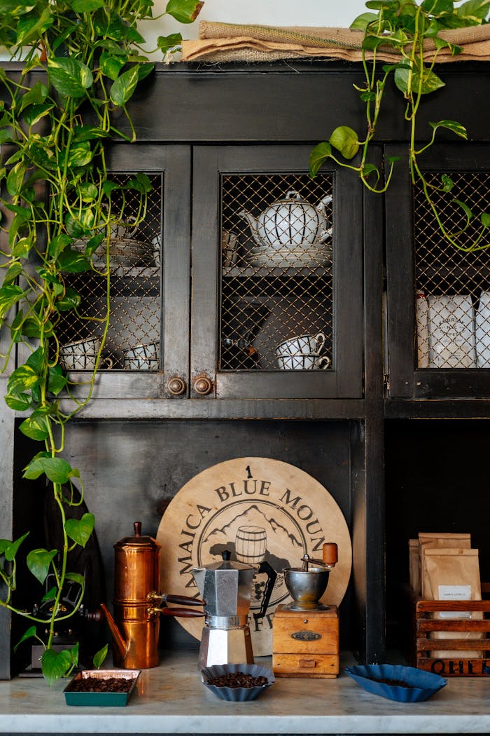 Charming vintage kitchen interior featuring a coffee setup with hanging plants.